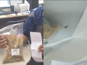 Ikan Asin Penuh Belatung Terjual di Fitrinofane Bandar Lampung